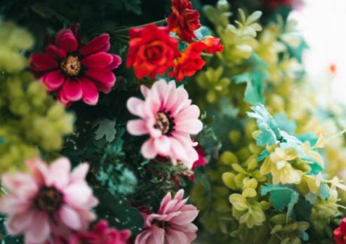DIY Rote Hybrid-Tee-Rosensträuße: Verleihen Sie Ihrem Zuhause mit eleganten Blumenarrangements das gewisse Etwas